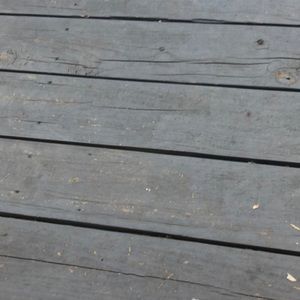 Meet your Posher, Corey